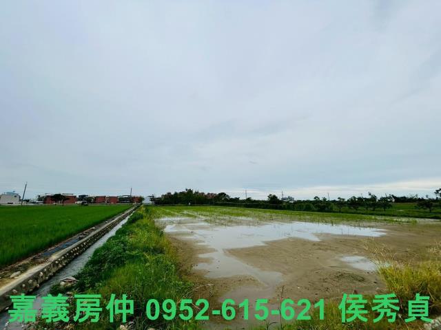 嘉義農地-1