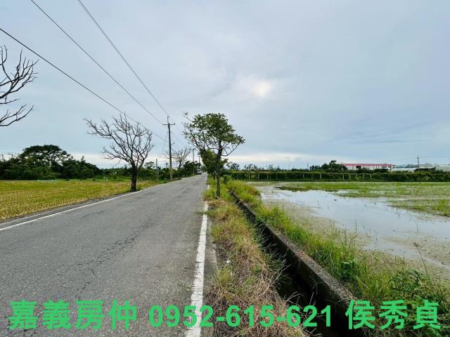 嘉義農地-3