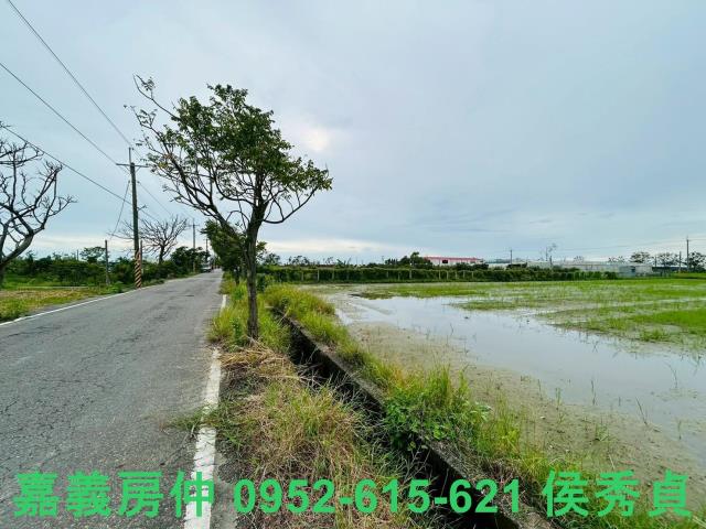 嘉義農地-4