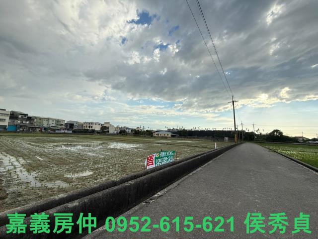 嘉義農地-4