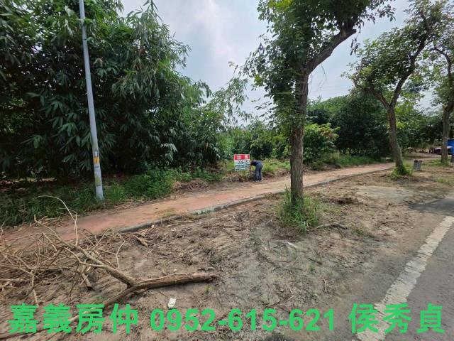 民雄農地-9