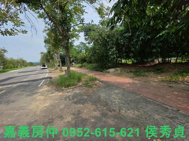 民雄農地-6