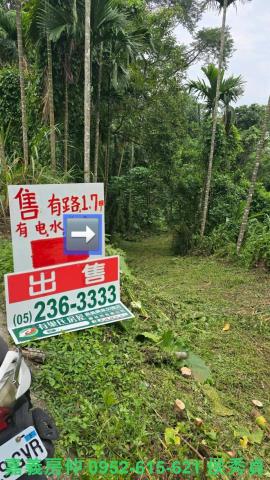 大林農地-0