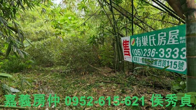 大林農地-8