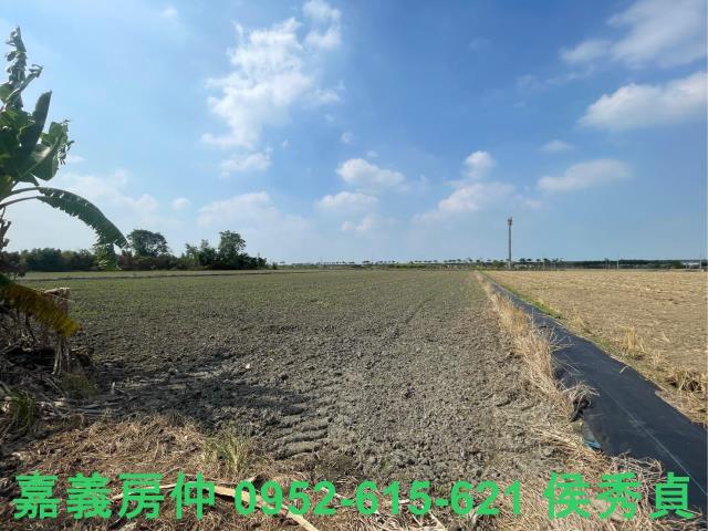 水上農地-1
