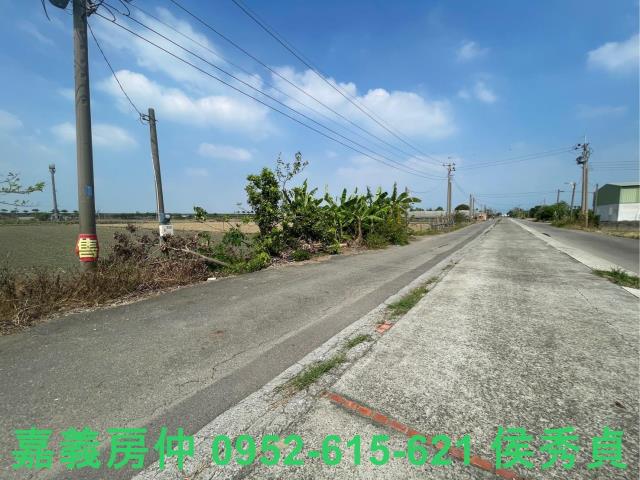 水上農地-4