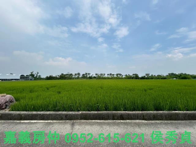 太保農地-3