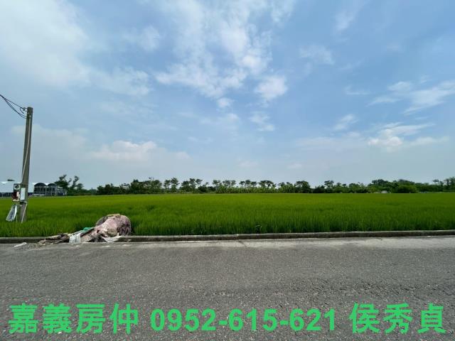 太保農地-4