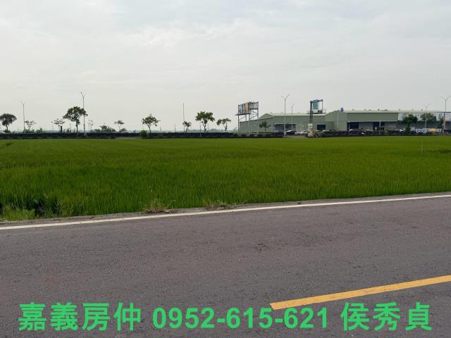 嘉義西區農地-0