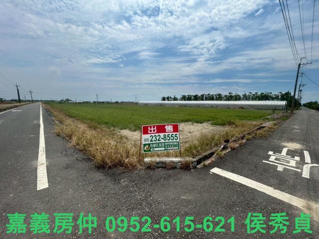 嘉義太保建地-0