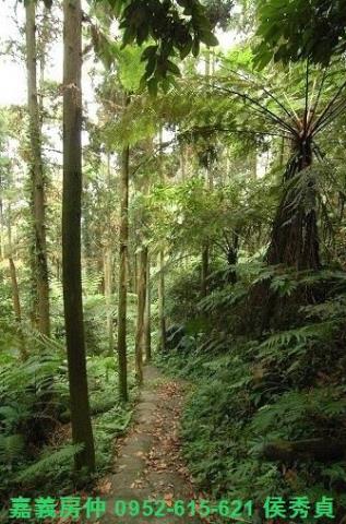 新竹北埔農地-1