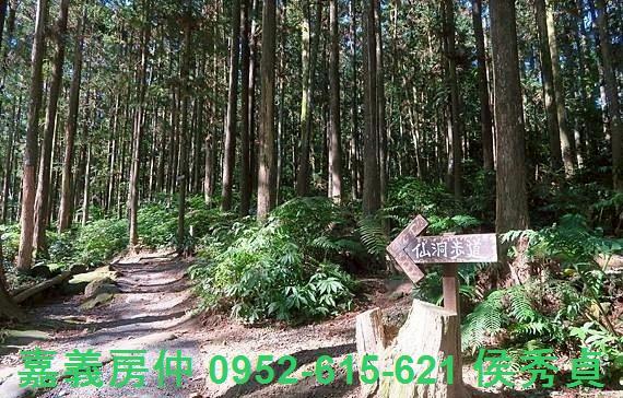 新竹北埔農地-6